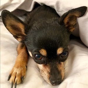 Meet your Posher, Terri